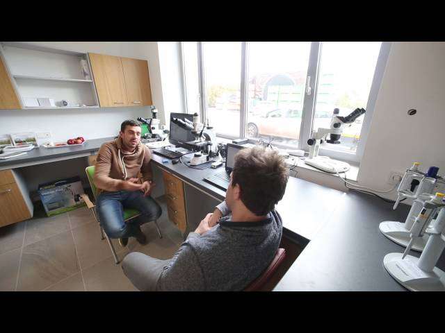 Parch jabłoni 2015 część 3 Parch jabłoni 2015 część 3