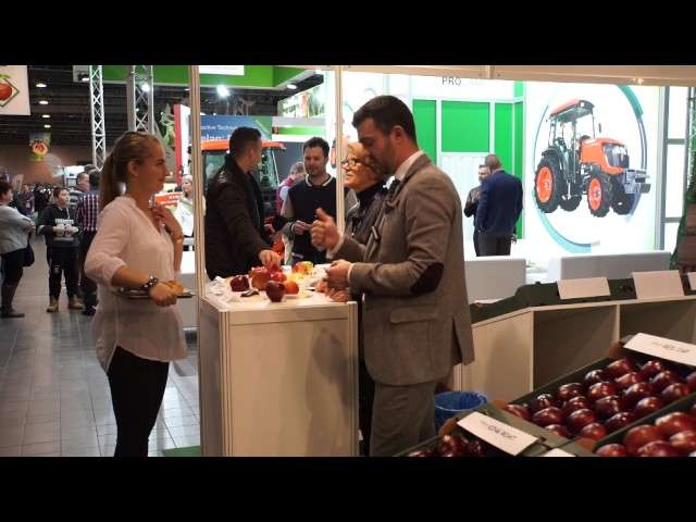 Jak należy sprzedawać jabłka MTAS 2017 Jak należy sprzedawać jabłka MTAS 2017